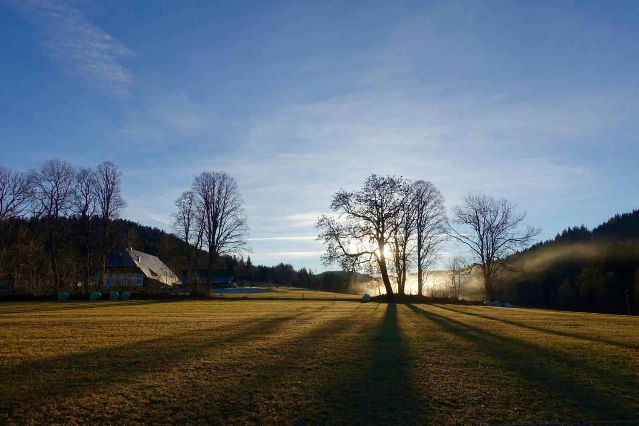 Hollhouse - Bed & Breakfast Hinterzarten Extérieur photo